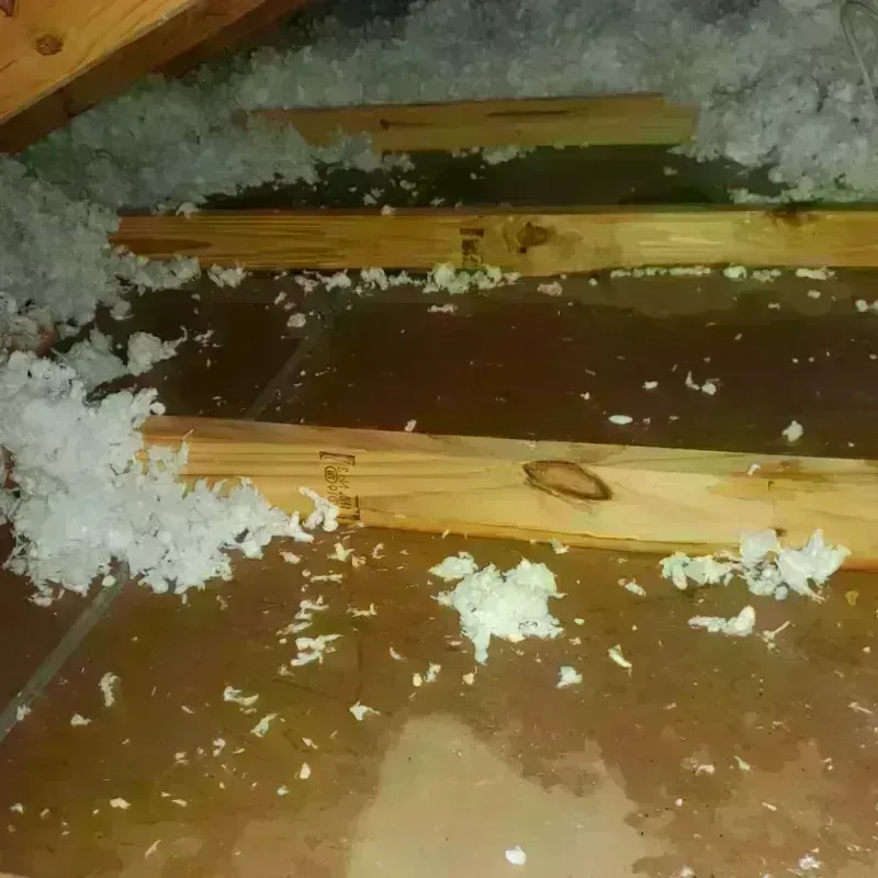 Attic Water Damage in Henry County, IA