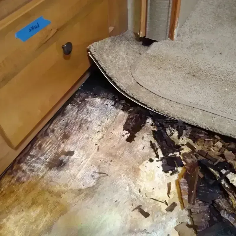 Wood Floor Water Damage in Henry County, IA